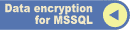 database encryption